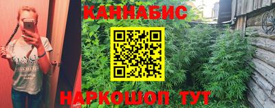 гашик Бузулук