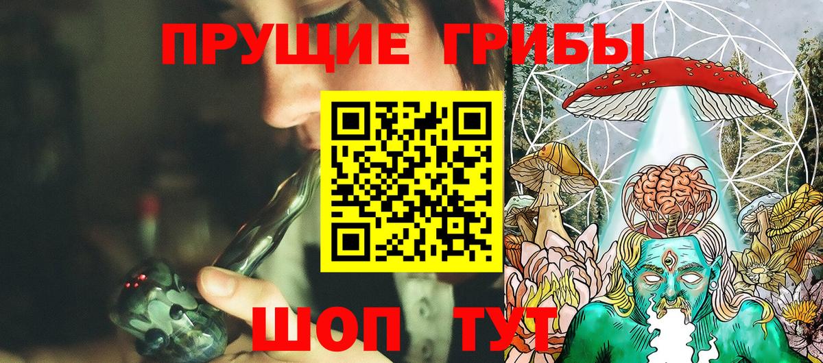 Тимашёвск  Псилоцибиновые грибы Cubensis  Вход с VPN 